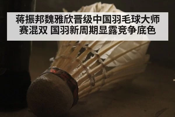 蒋振邦魏雅欣晋级中国羽毛球大师赛混双 国羽新周期显露竞争底色