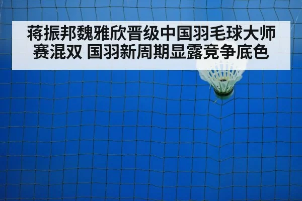 badminton net shot
